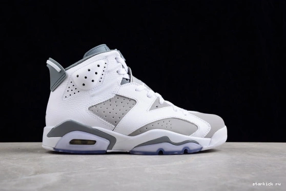 CT8529-100 Grey Cool CT8529-100 Jordan Retro 6 0309
